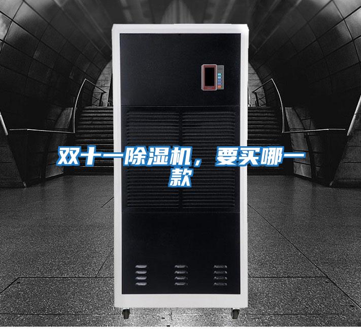雙十一除濕機，要買哪一款