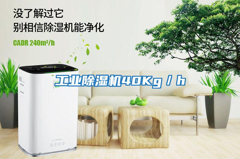 工業(yè)除濕機(jī)40Kg／h