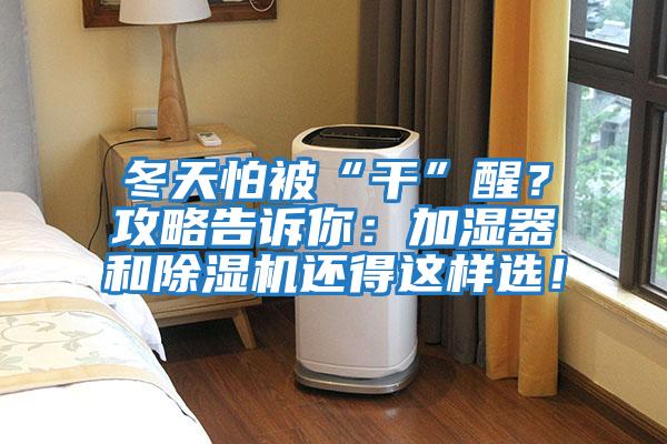 冬天怕被“干”醒？攻略告訴你：加濕器和除濕機還得這樣選！