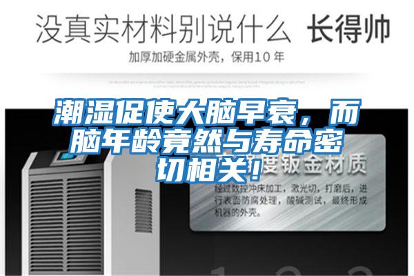 潮濕促使大腦早衰，而腦年齡竟然與壽命密切相關！