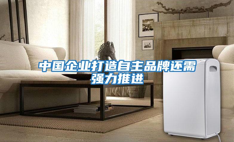 中國企業(yè)打造自主品牌還需強力推進
