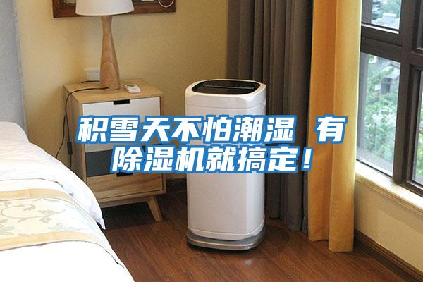 積雪天不怕潮濕 有除濕機就搞定!