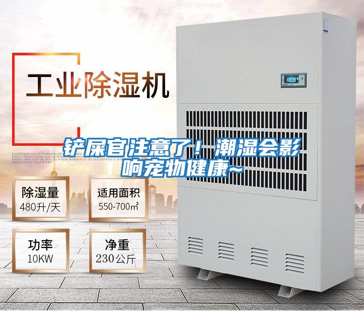 鏟屎官注意了！潮濕會影響寵物健康~