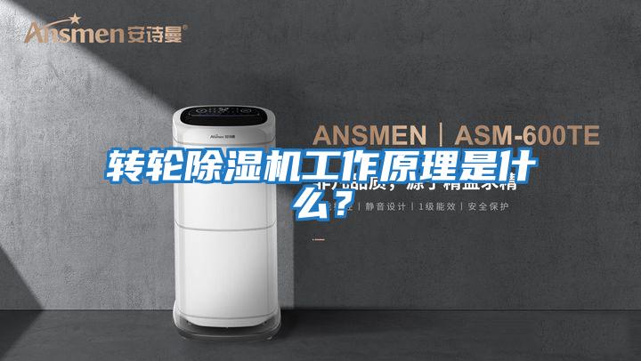 轉輪除濕機工作原理是什么？