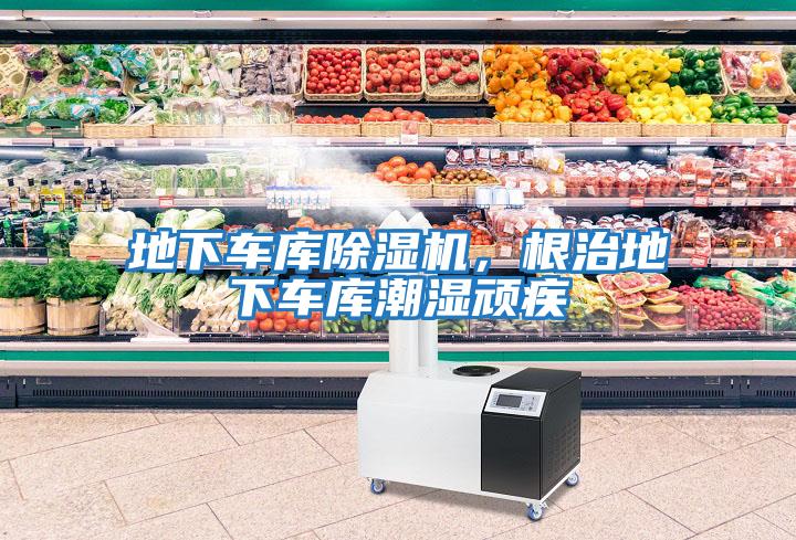 地下車庫除濕機，根治地下車庫潮濕頑疾
