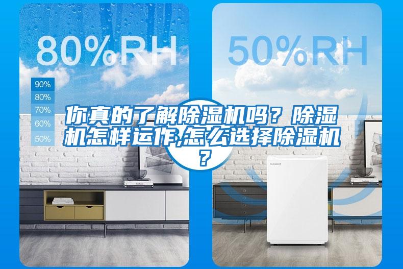 你真的了解除濕機(jī)嗎？除濕機(jī)怎樣運(yùn)作,怎么選擇除濕機(jī)？
