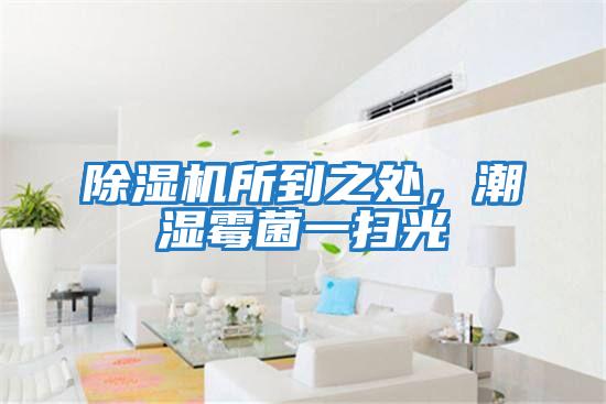 除濕機(jī)所到之處，潮濕霉菌一掃光