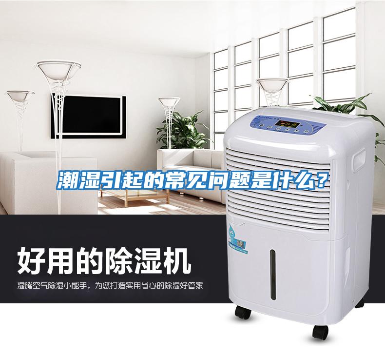 潮濕引起的常見問題是什么？