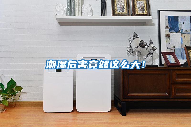 潮濕危害竟然這么大！