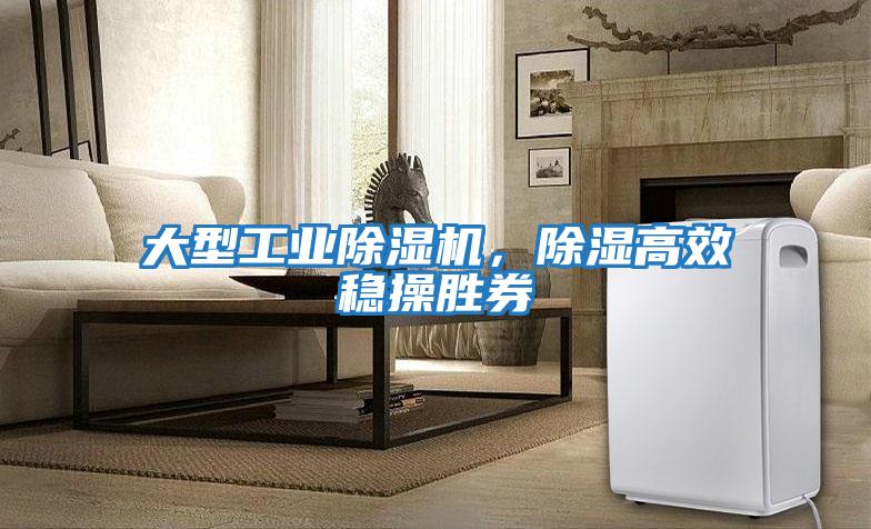 大型工業(yè)除濕機(jī)，除濕高效穩(wěn)操勝券