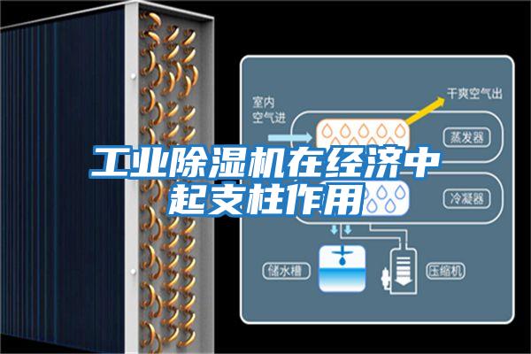 工業除濕機在經濟中起支柱作用