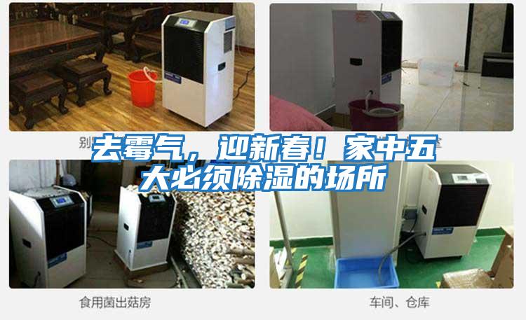 去霉氣，迎新春！家中五大必須除濕的場所