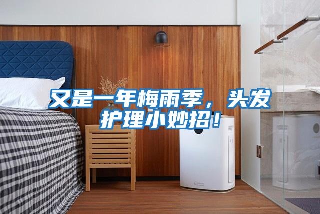 又是一年梅雨季，頭發護理小妙招！