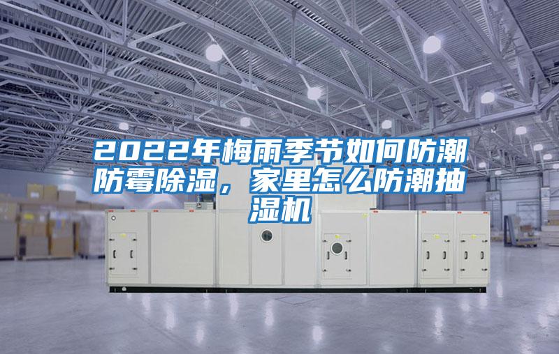 2022年梅雨季節如何防潮防霉除濕，家里怎么防潮抽濕機