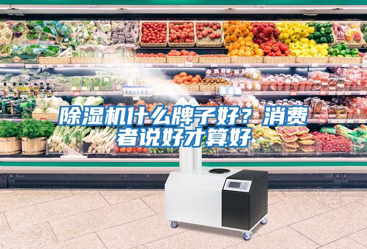 除濕機什么牌子好？消費者說好才算好