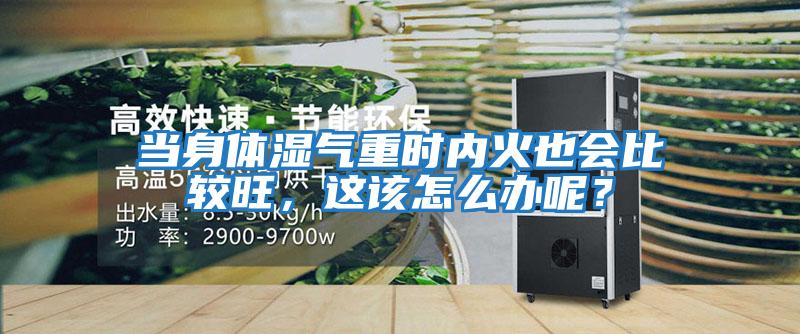 當(dāng)身體濕氣重時(shí)內(nèi)火也會(huì)比較旺，這該怎么辦呢？