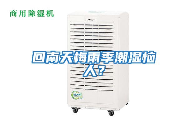 回南天梅雨季潮濕惱人？