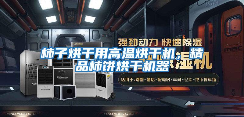 柿子烘干用高溫烘干機，精品柿餅烘干機器