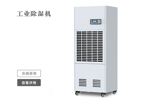 舞獅慶新春，開(kāi)門(mén)滿(mǎn)堂紅