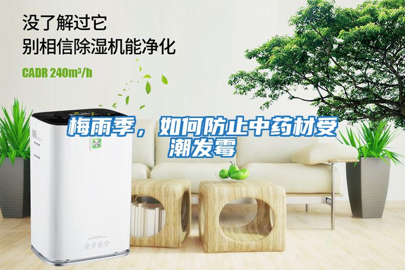 梅雨季，如何防止中藥材受潮發霉