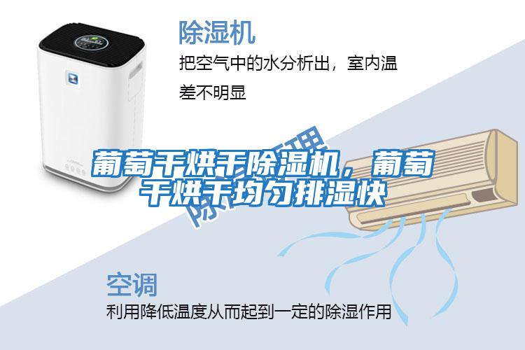 葡萄干烘干除濕機，葡萄干烘干均勻排濕快