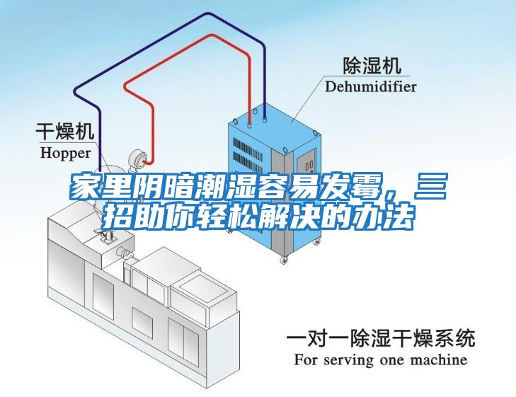 家里陰暗潮濕容易發霉，三招助你輕松解決的辦法
