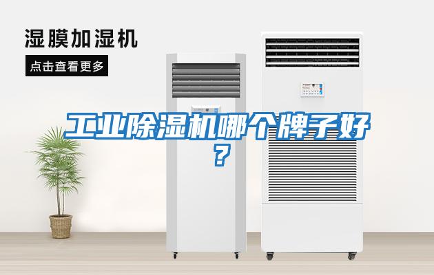 工業(yè)除濕機(jī)哪個(gè)牌子好？