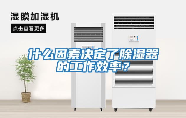 什么因素決定了除濕器的工作效率？