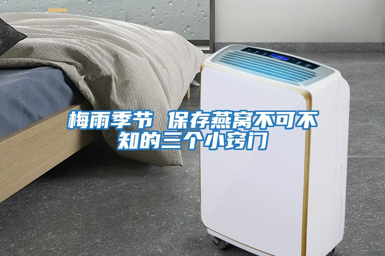 梅雨季節(jié) 保存燕窩不可不知的三個(gè)小竅門
