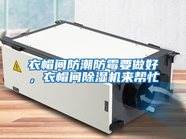 衣帽間防潮防霉要做好，衣帽間除濕機來幫忙