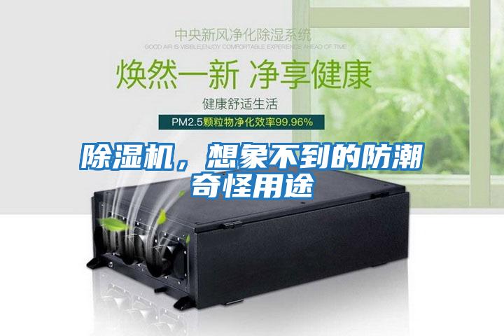 除濕機，想象不到的防潮奇怪用途