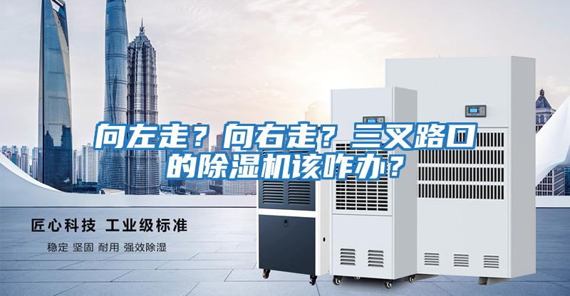 向左走？向右走？三叉路口的除濕機該咋辦？