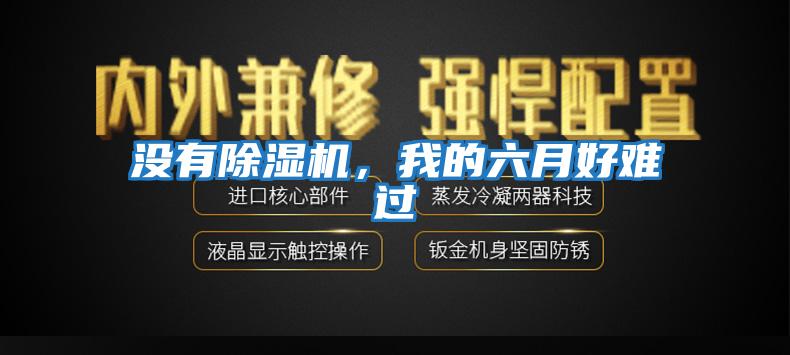 沒有除濕機，我的六月好難過