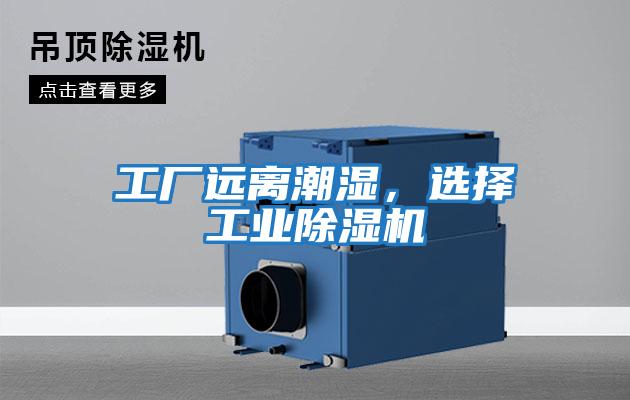 工廠遠離潮濕，選擇工業除濕機