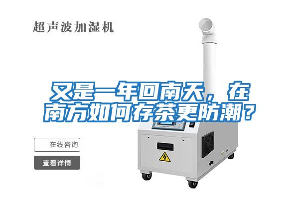 又是一年回南天，在南方如何存茶更防潮？