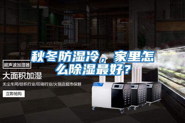 秋冬防濕冷，家里怎么除濕最好？