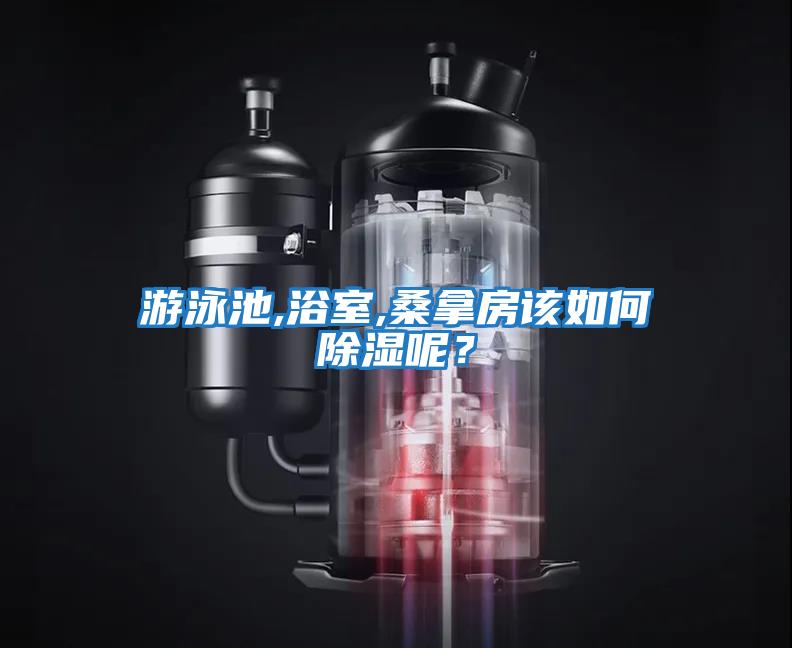 游泳池,浴室,桑拿房該如何除濕呢？
