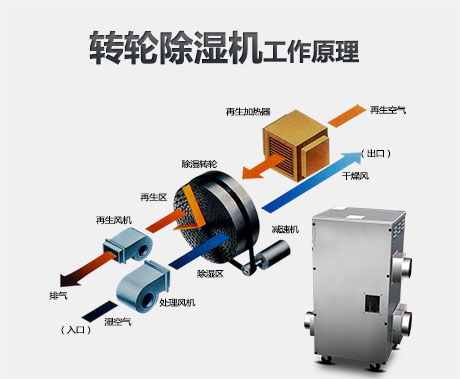 除濕機有什么用？