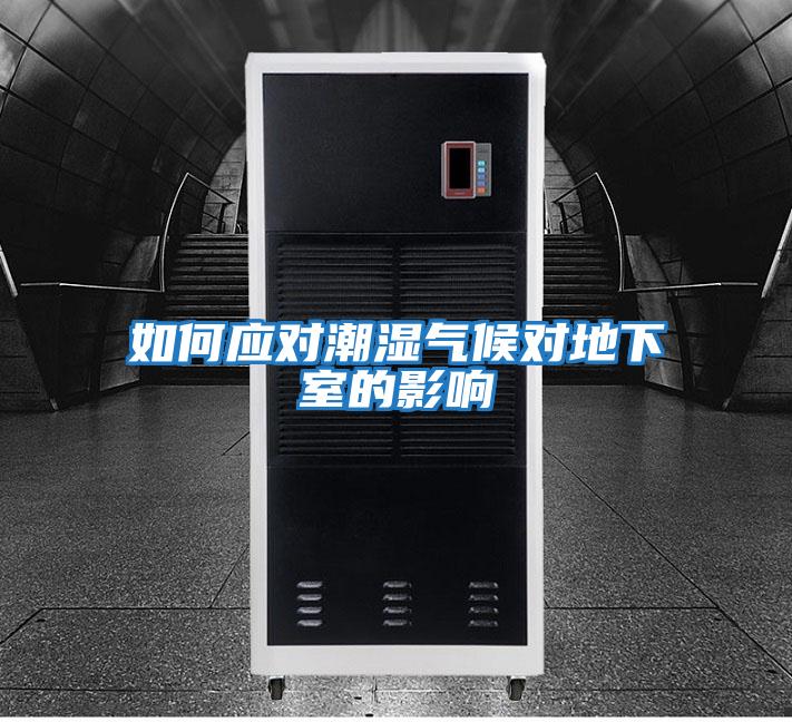 如何應對潮濕氣候?qū)Φ叵率业挠绊?/></p>
						    <p style=