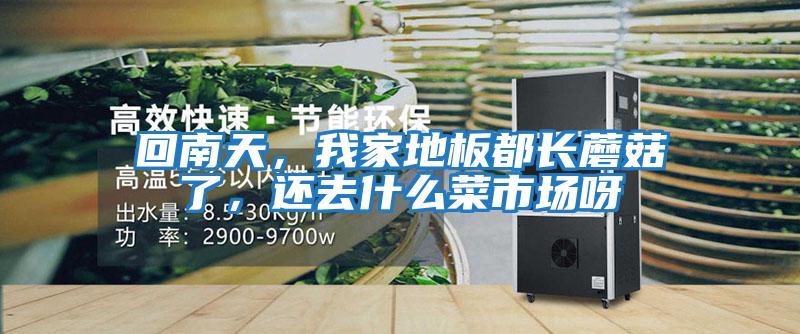 回南天，我家地板都長蘑菇了，還去什么菜市場呀