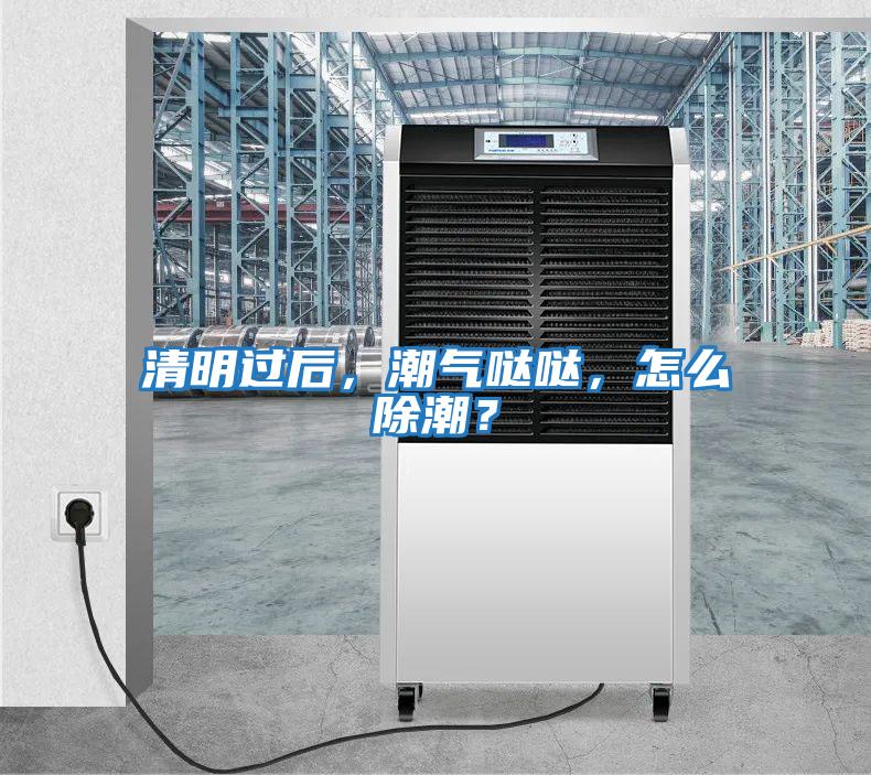 清明過后，潮氣噠噠，怎么除潮？