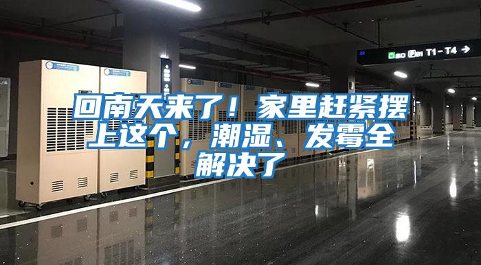 回南天來了！家里趕緊擺上這個(gè)，潮濕、發(fā)霉全解決了