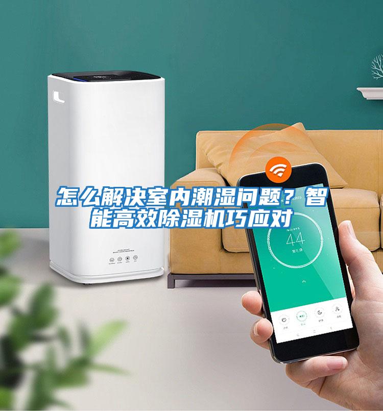 怎么解決室內(nèi)潮濕問題？智能高效除濕機(jī)巧應(yīng)對(duì)