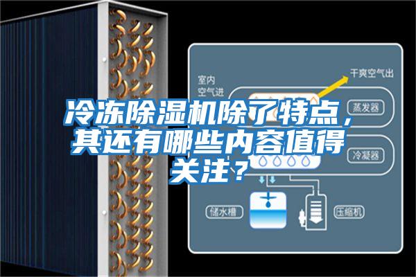 冷凍除濕機除了特點，其還有哪些內容值得關注？