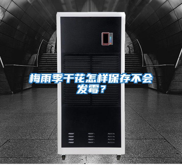 梅雨季干花怎樣保存不會(huì)發(fā)霉？