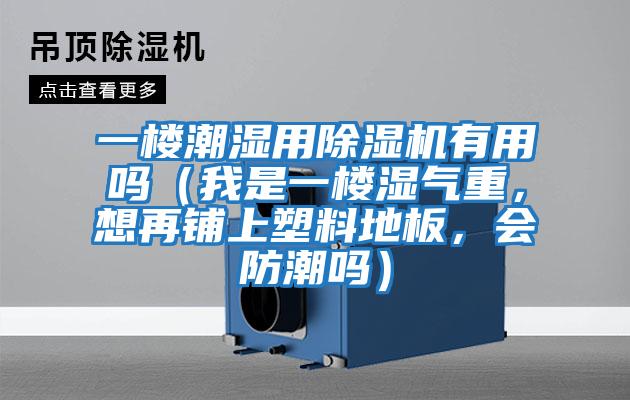 一樓潮濕用除濕機有用嗎（我是一樓濕氣重，想再鋪上塑料地板，會防潮嗎）