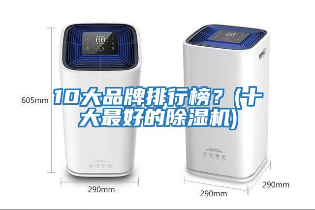 10大品牌排行榜?(十大最好的除濕機)