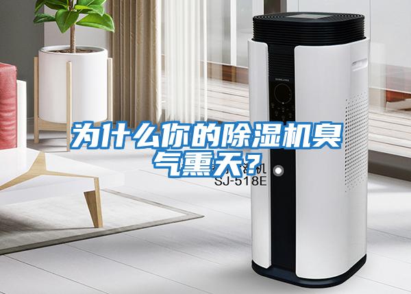 為什么你的除濕機(jī)臭氣熏天？