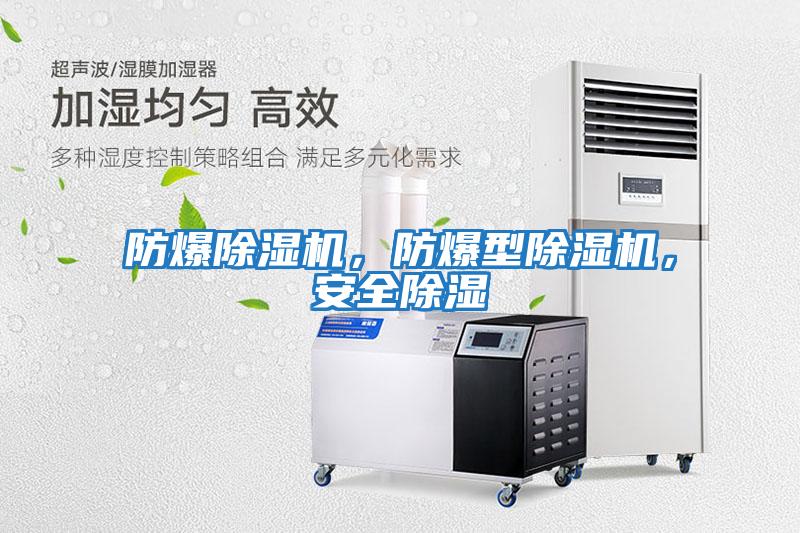 防爆除濕機，防爆型除濕機，安全除濕