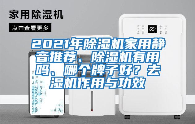 2021年除濕機家用靜音推薦、除濕機有用嗎、哪個牌子好？去濕機作用與功效